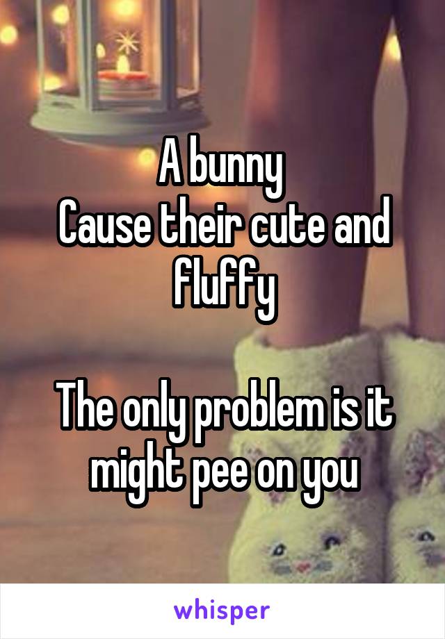 A bunny 
Cause their cute and fluffy

The only problem is it might pee on you