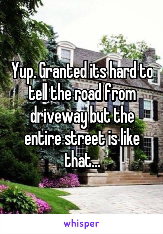 Yup. Granted its hard to tell the road from driveway but the entire street is like that...