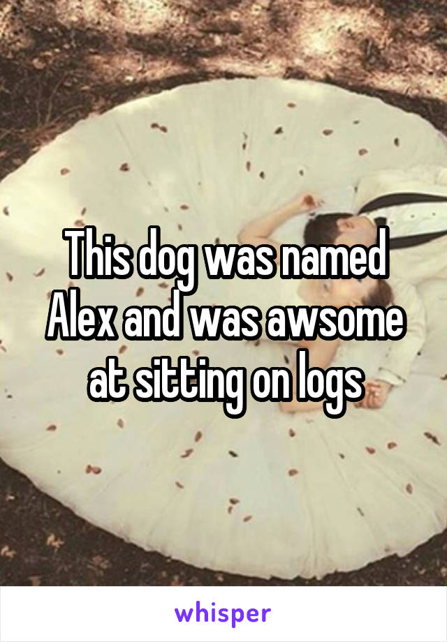 This dog was named Alex and was awsome at sitting on logs