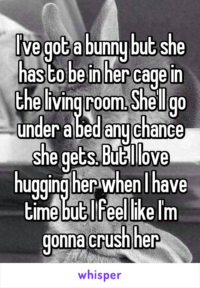 I've got a bunny but she has to be in her cage in the living room. She'll go under a bed any chance she gets. But I love hugging her when I have time but I feel like I'm gonna crush her