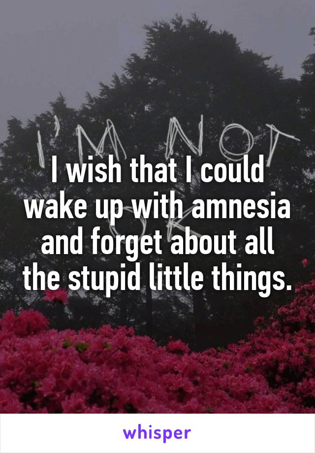 I wish that I could wake up with amnesia and forget about all the stupid little things.