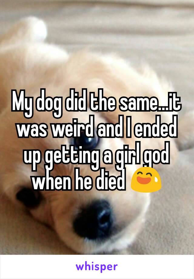 My dog did the same...it was weird and I ended up getting a girl god when he died 😅