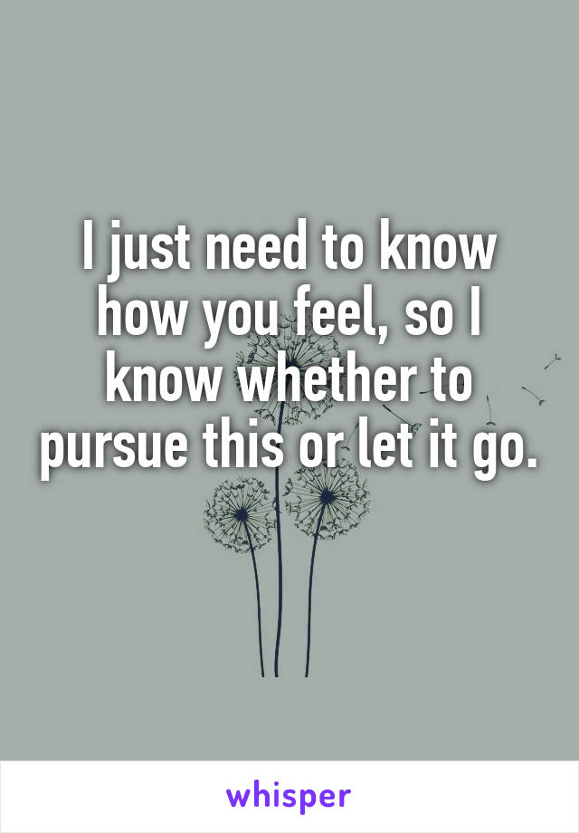I just need to know how you feel, so I know whether to pursue this or let it go. 
