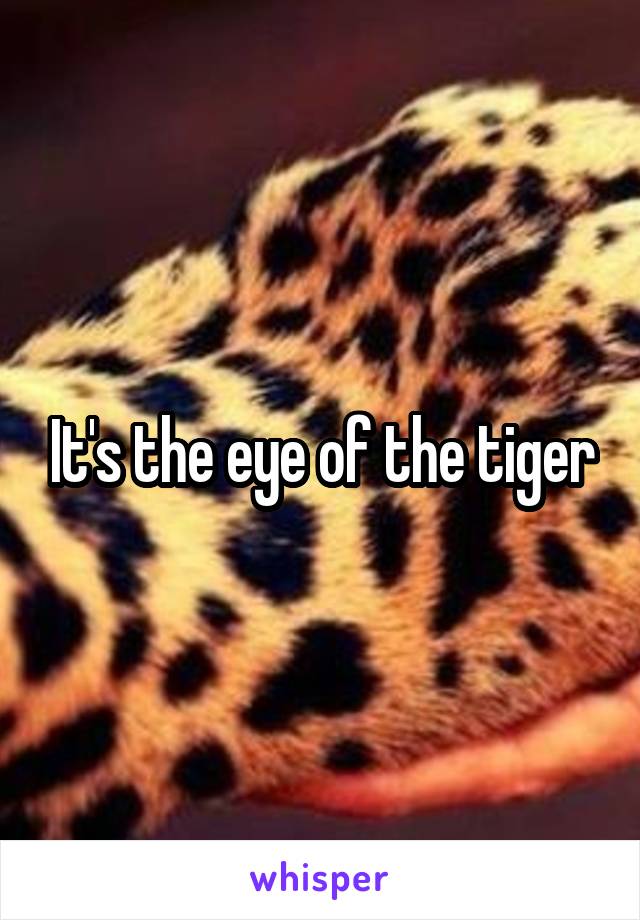 It's the eye of the tiger