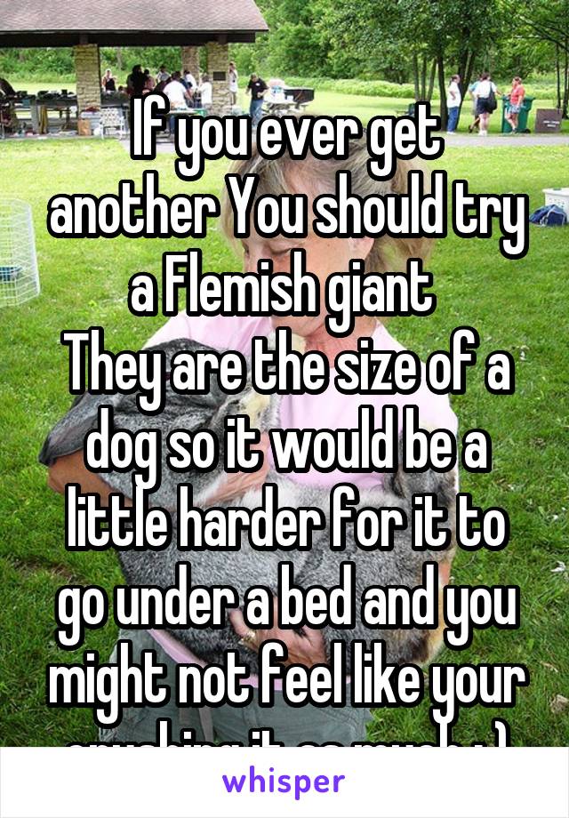
If you ever get another You should try a Flemish giant 
They are the size of a dog so it would be a little harder for it to go under a bed and you might not feel like your crushing it as much : )