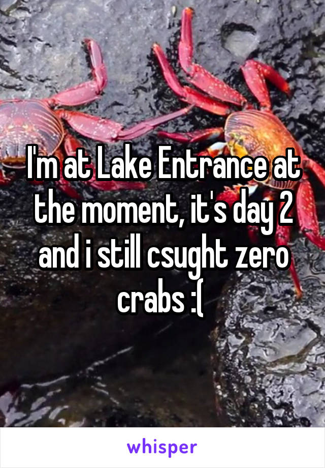 I'm at Lake Entrance at the moment, it's day 2 and i still csught zero crabs :( 
