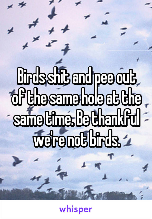 Birds shit and pee out of the same hole at the same time. Be thankful we're not birds.