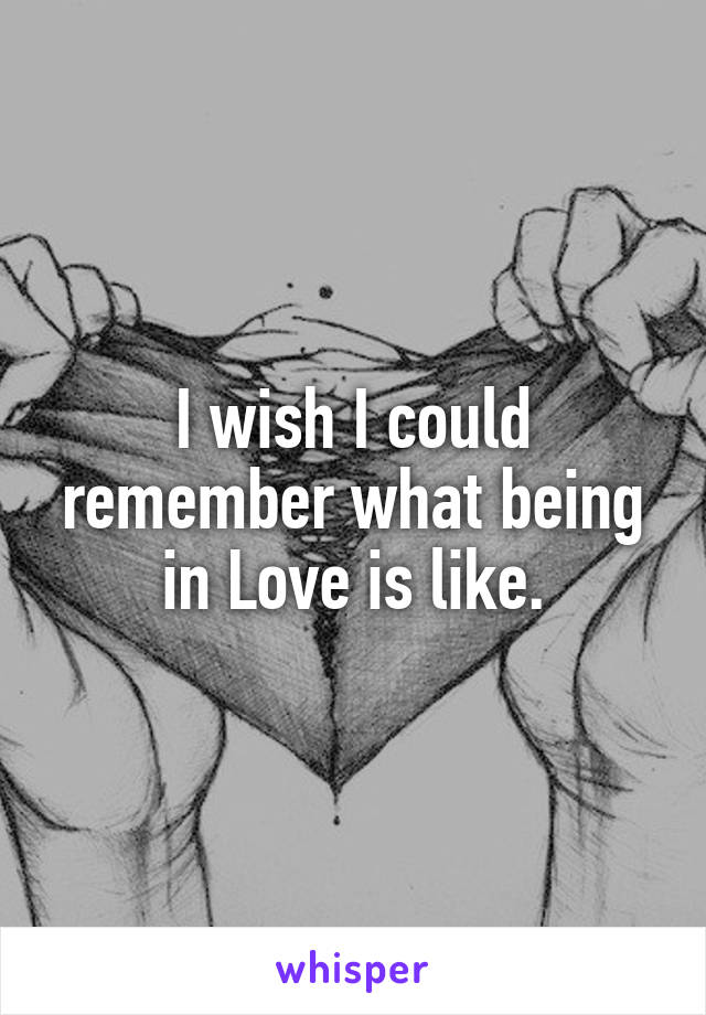 I wish I could remember what being in Love is like.