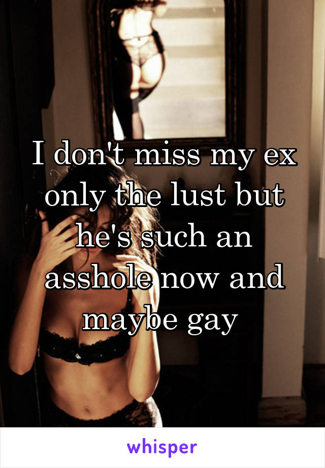 I don't miss my ex only the lust but he's such an asshole now and maybe gay 