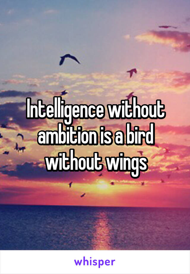 Intelligence without ambition is a bird without wings