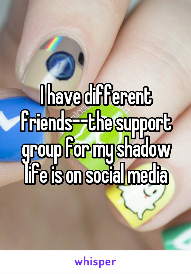 I have different friends--the support group for my shadow life is on social media