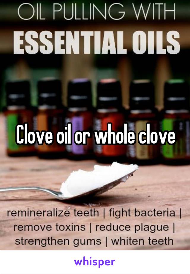 Clove oil or whole clove