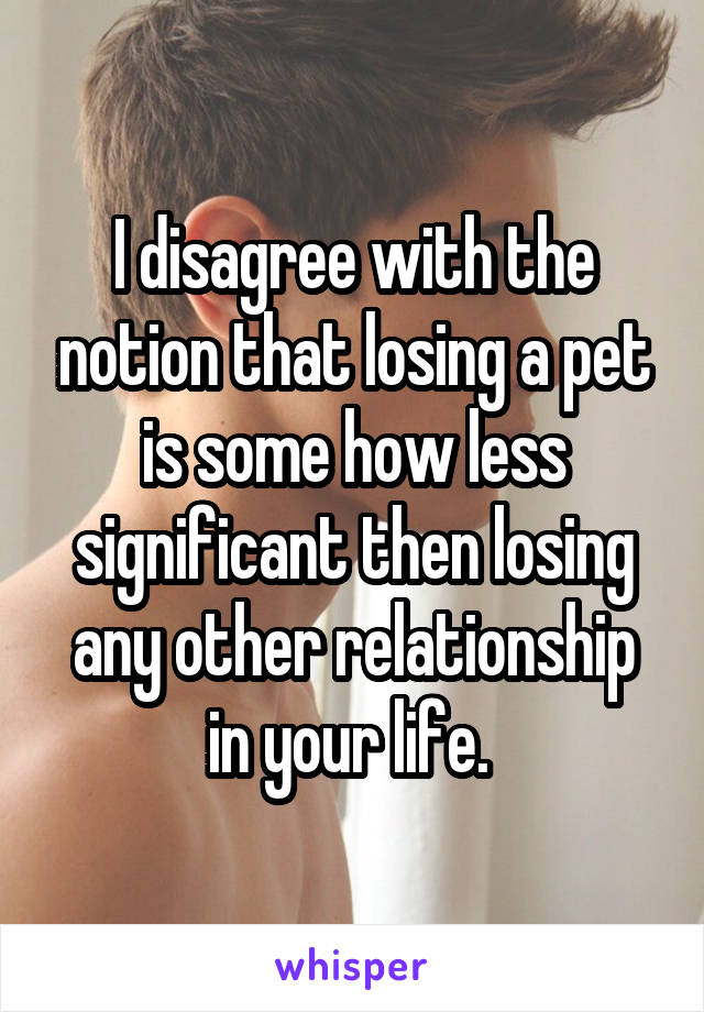 I disagree with the notion that losing a pet is some how less significant then losing any other relationship in your life. 