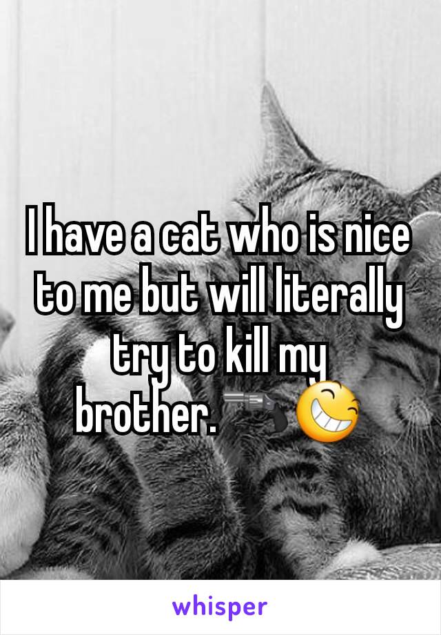 I have a cat who is nice to me but will literally try to kill my brother.🔫😆