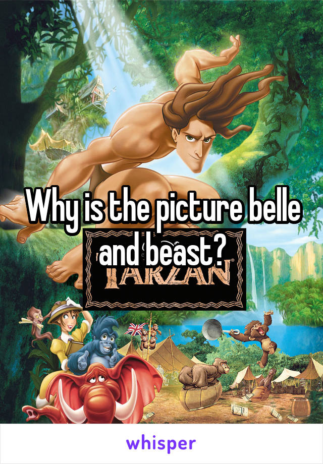 Why is the picture belle and beast?
