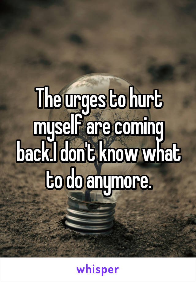 The urges to hurt myself are coming back.I don't know what to do anymore.