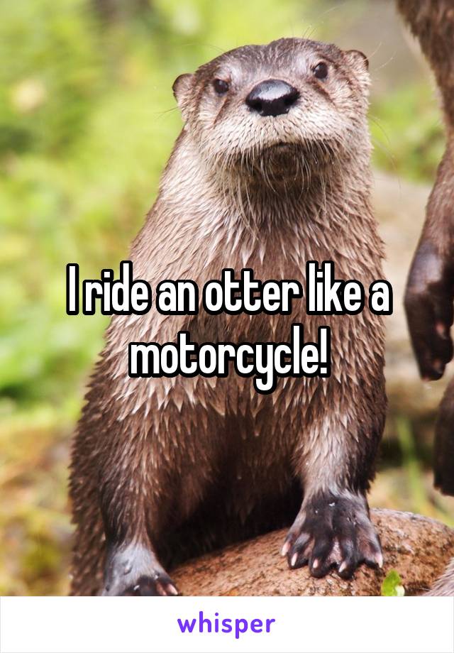 I ride an otter like a motorcycle!