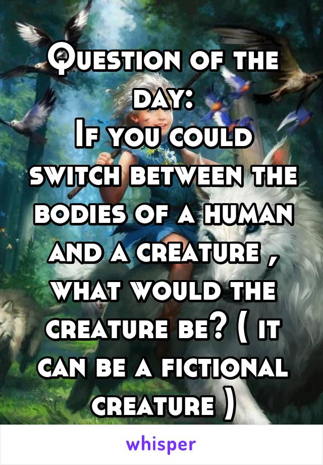 Question of the day:
If you could switch between the bodies of a human and a creature , what would the creature be? ( it can be a fictional creature )
