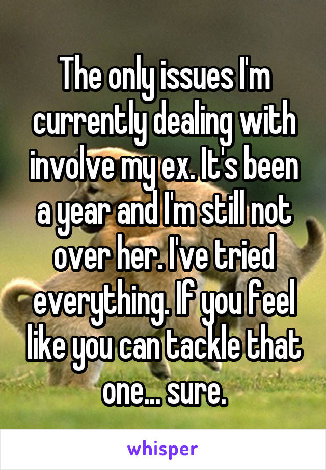 The only issues I'm currently dealing with involve my ex. It's been a year and I'm still not over her. I've tried everything. If you feel like you can tackle that one... sure.