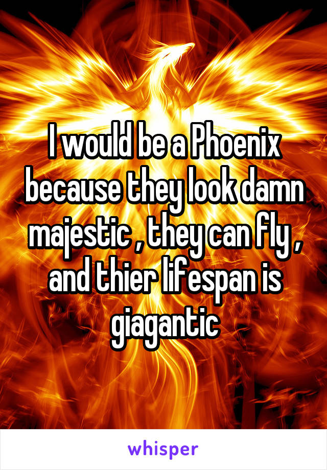 I would be a Phoenix because they look damn majestic , they can fly , and thier lifespan is giagantic