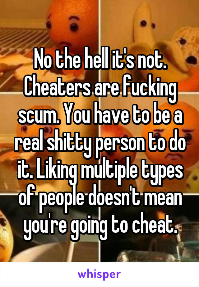No the hell it's not. Cheaters are fucking scum. You have to be a real shitty person to do it. Liking multiple types of people doesn't mean you're going to cheat.