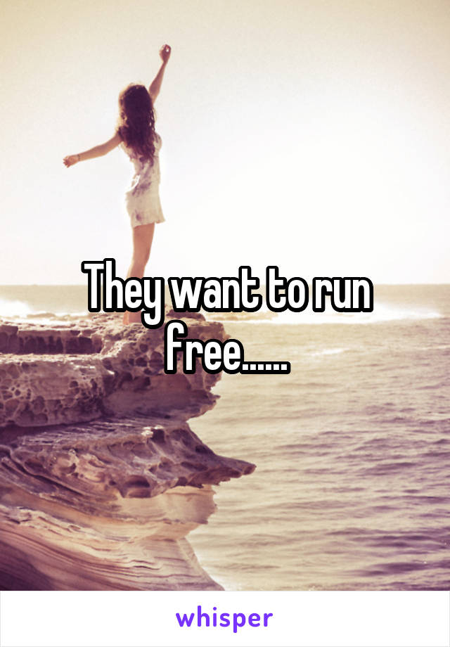 They want to run free......