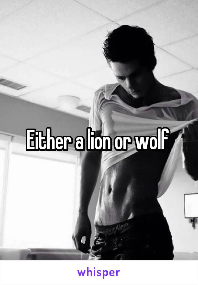 Either a lion or wolf 