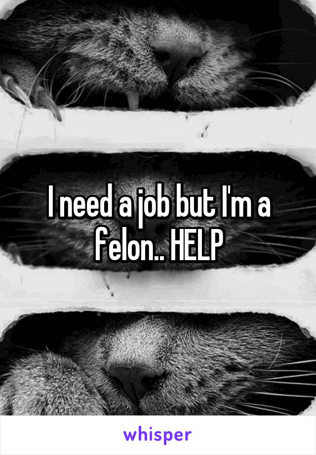 I need a job but I'm a felon.. HELP