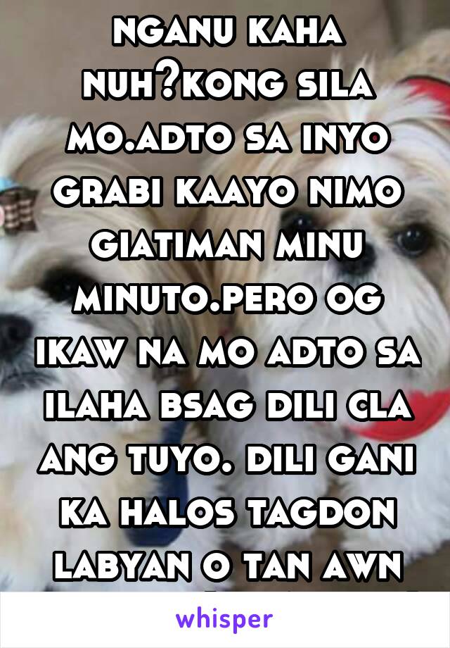 nganu kaha nuh?kong sila mo.adto sa inyo grabi kaayo nimo giatiman minu minuto.pero og ikaw na mo adto sa ilaha bsag dili cla ang tuyo. dili gani ka halos tagdon labyan o tan awn lang ka (PLASTIC)