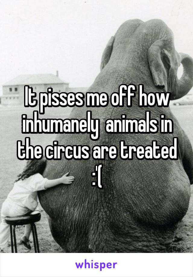 It pisses me off how inhumanely  animals in the circus are treated :'(