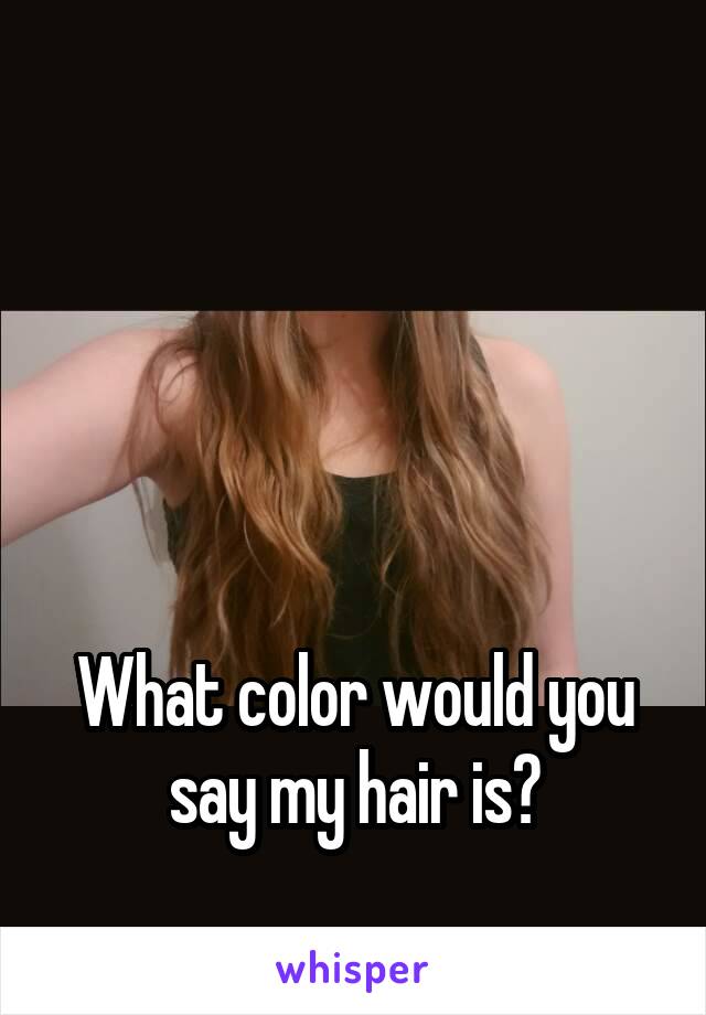 




What color would you say my hair is?