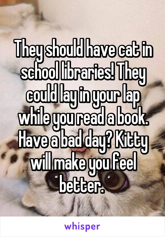 They should have cat in school libraries! They could lay in your lap while you read a book. Have a bad day? Kitty will make you feel better. 