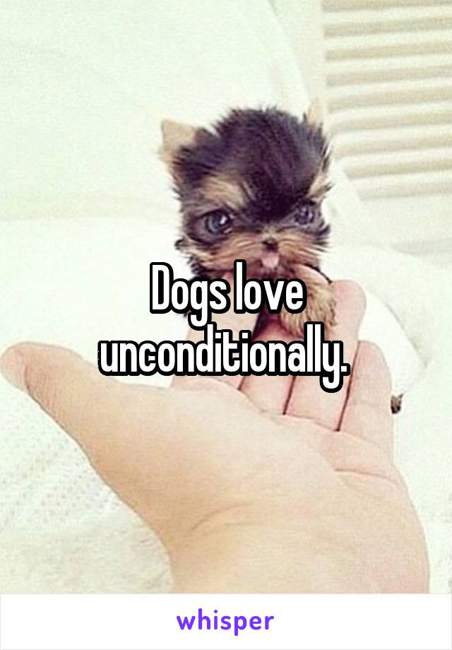 Dogs love unconditionally. 