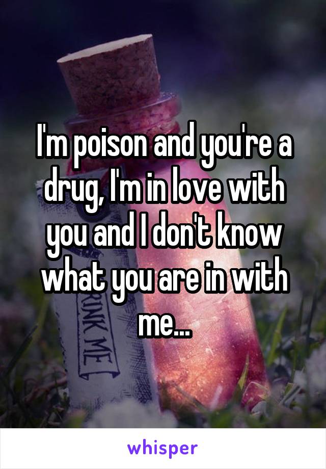 I'm poison and you're a drug, I'm in love with you and I don't know what you are in with me...