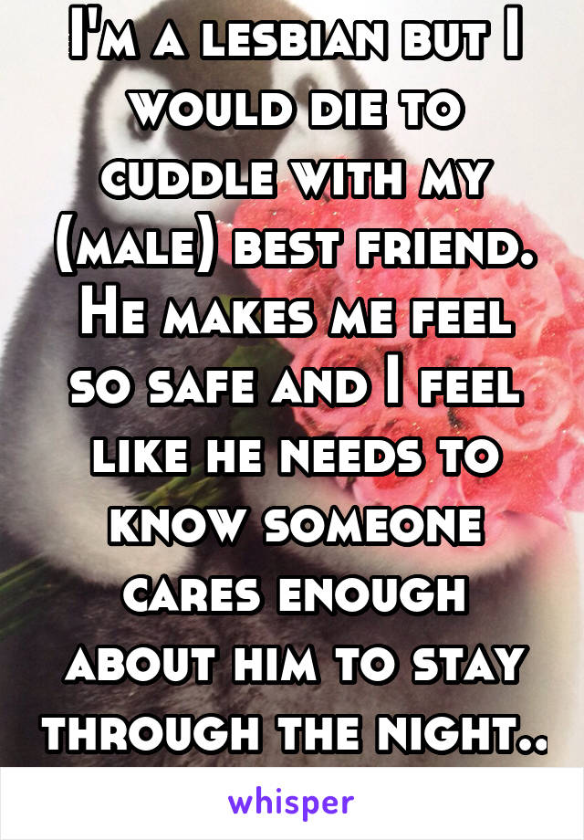 I'm a lesbian but I would die to cuddle with my (male) best friend. He makes me feel so safe and I feel like he needs to know someone cares enough about him to stay through the night.. 