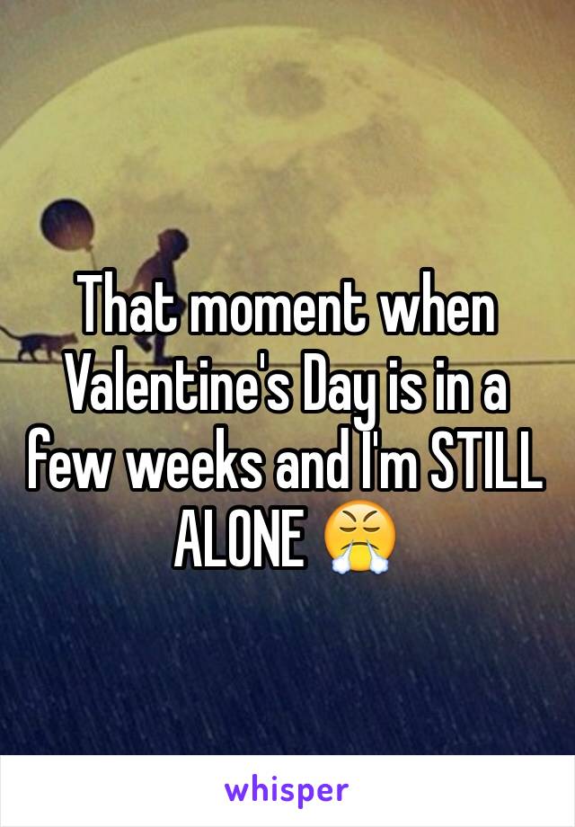 That moment when Valentine's Day is in a few weeks and I'm STILL ALONE 😤
