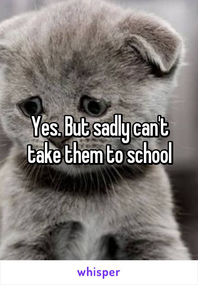 Yes. But sadly can't take them to school