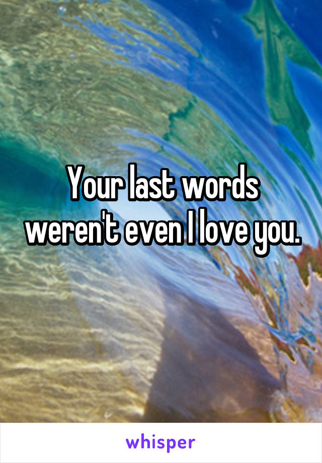 Your last words weren't even I love you. 