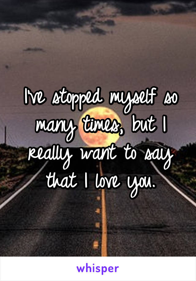 I've stopped myself so many times, but I really want to say that I love you.