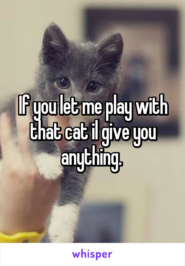 If you let me play with that cat il give you anything. 