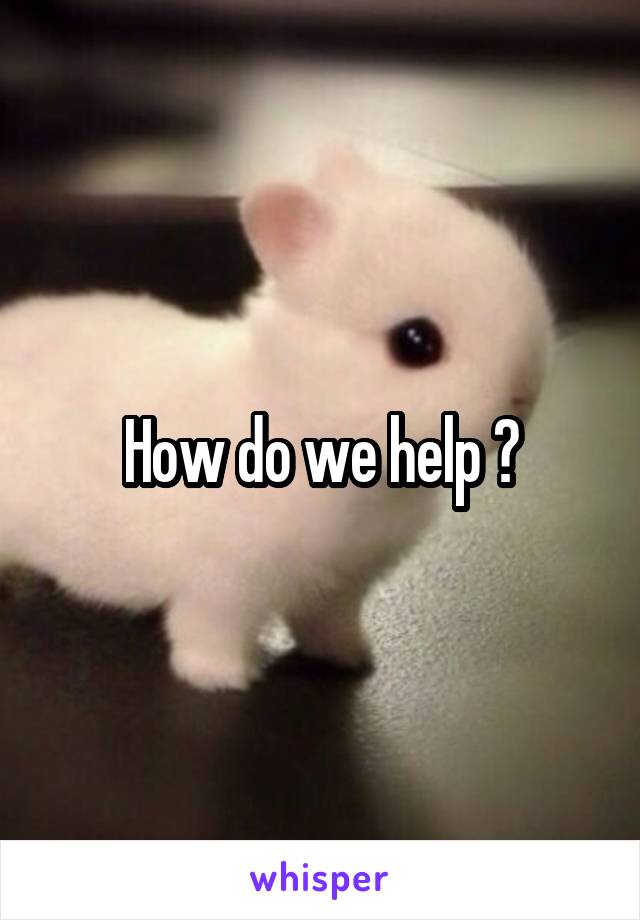 How do we help ?