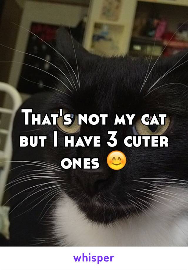 That's not my cat but I have 3 cuter ones 😊