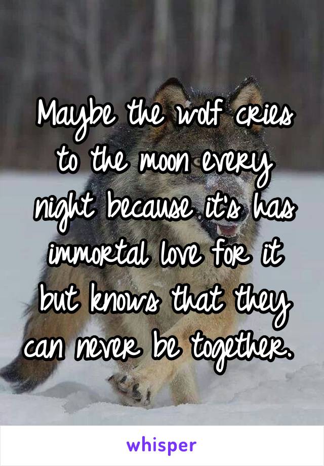 Maybe the wolf cries to the moon every night because it's has immortal love for it but knows that they can never be together. 