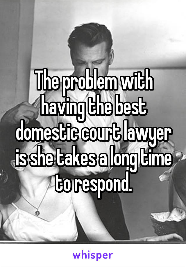 The problem with having the best domestic court lawyer is she takes a long time to respond.