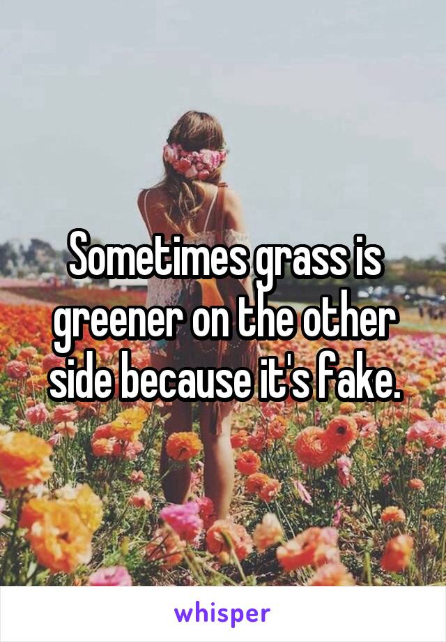 Sometimes grass is greener on the other side because it's fake.