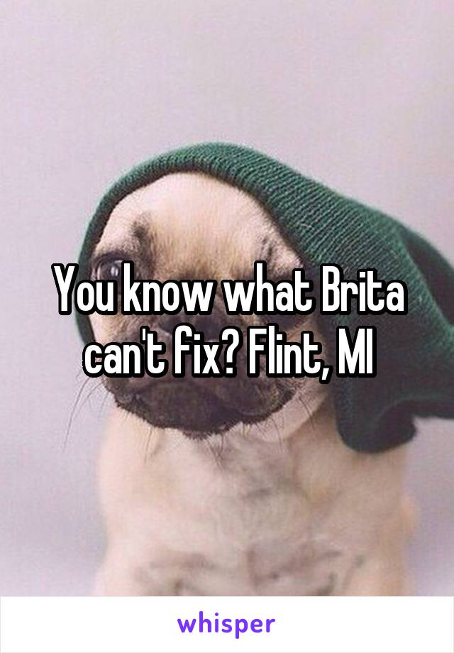 You know what Brita can't fix? Flint, MI