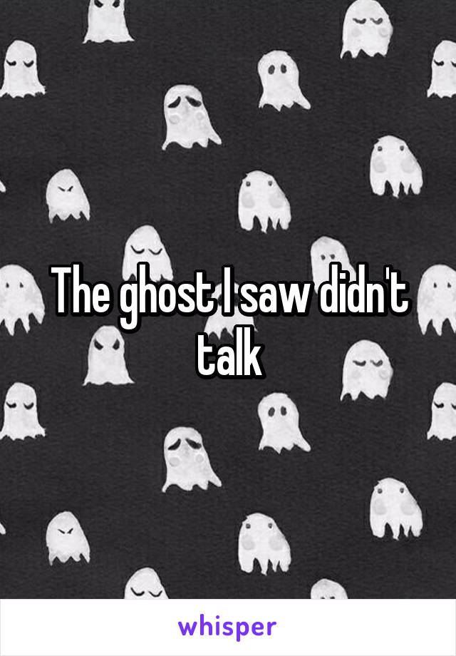 The ghost I saw didn't talk