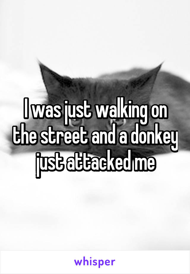 I was just walking on the street and a donkey just attacked me