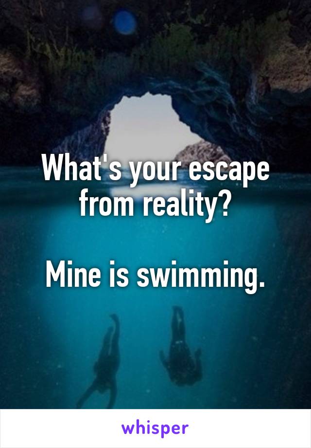 What's your escape from reality?

Mine is swimming.