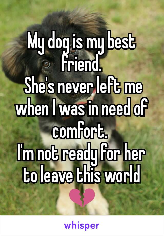 My dog is my best friend.
 She's never left me when I was in need of comfort. 
I'm not ready for her to leave this world 💔